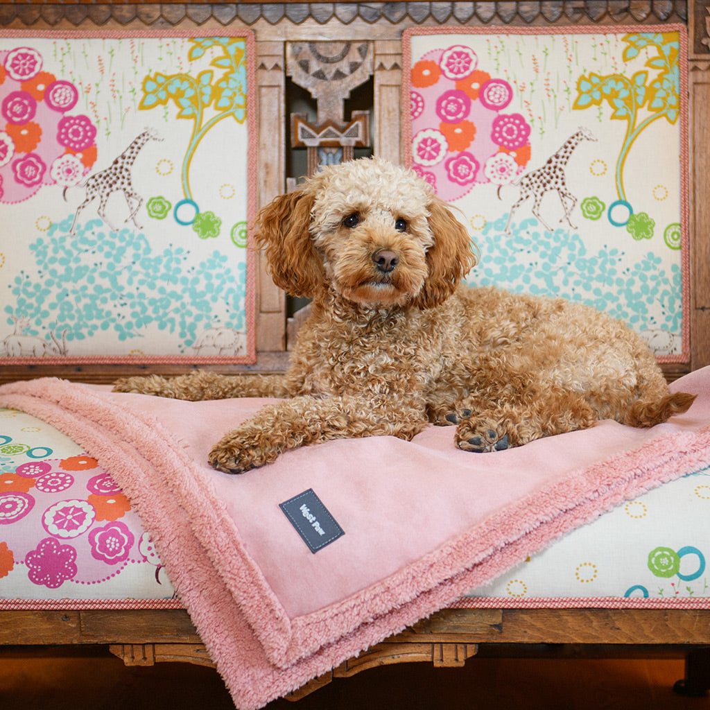 Dog Beds: Multiple Sizes & Colors Available | West Paw
