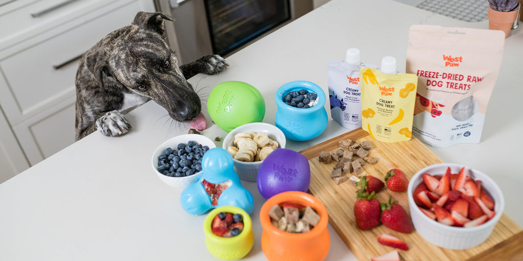 Enrichment Products – Harvey & Lola