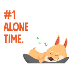 Dogs Need Alone Time