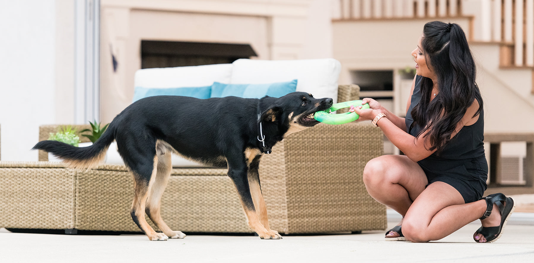 Mighty Paw Dog Grooming Brush, Durable Togo