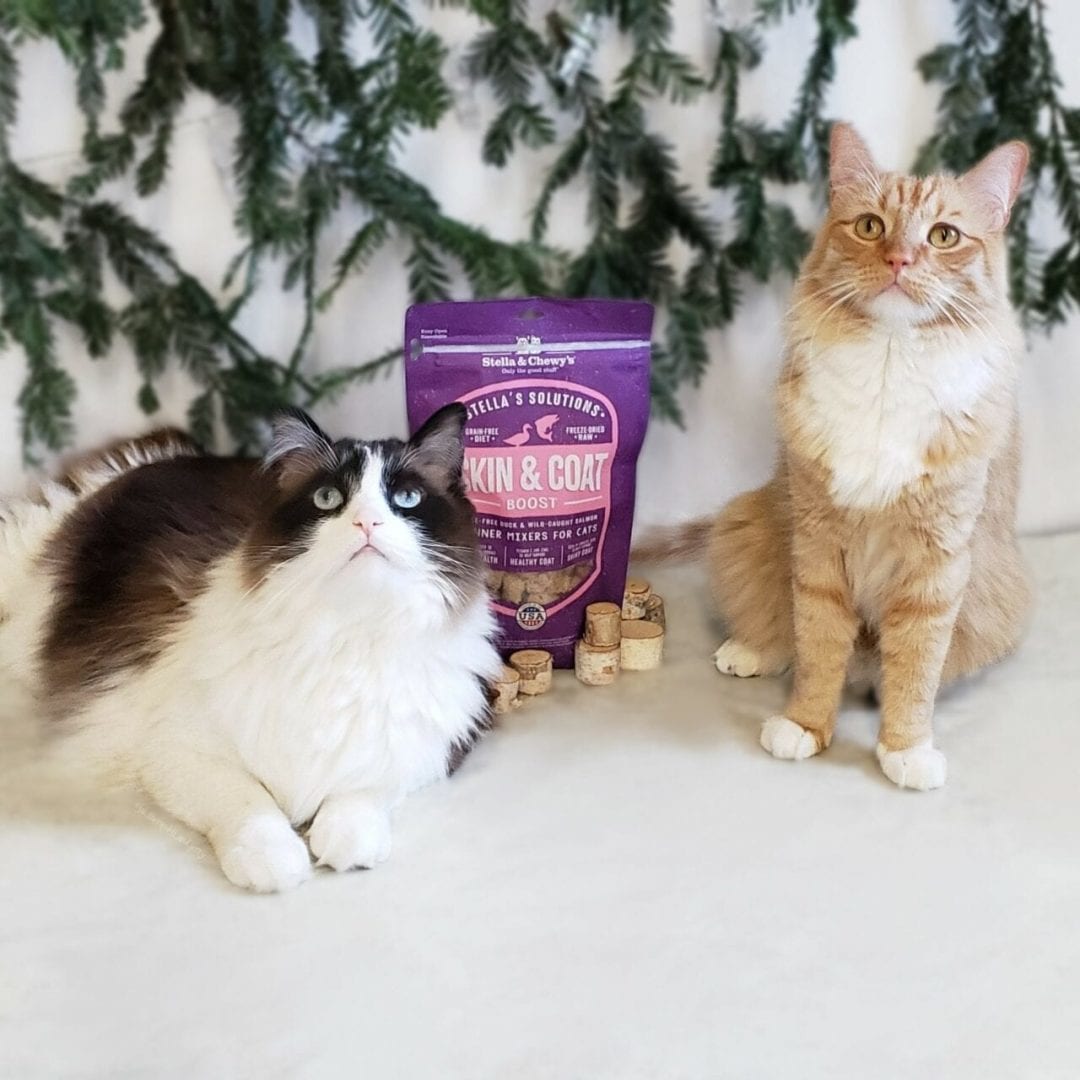 Stella & Chewy's Dinner Mixers | Skin & Coat Boost