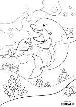 Coloriage gratuit - Dauphin et son bébé dans la mer