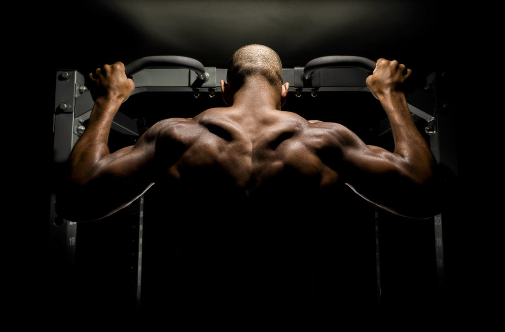 Bodybuilder builds up muscle memory