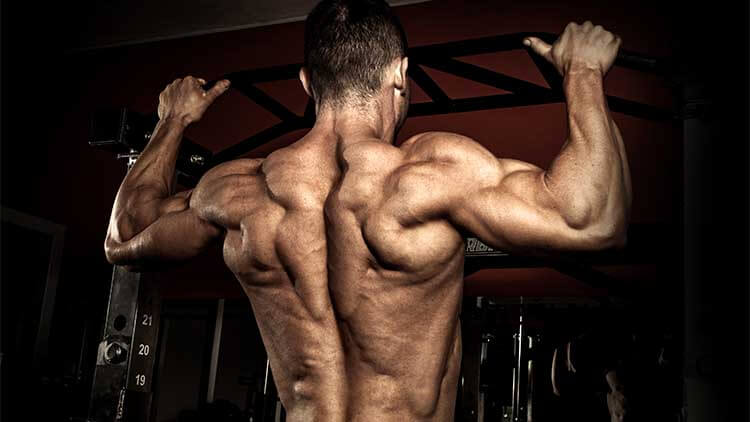 bodybuilder does the PHAT workout