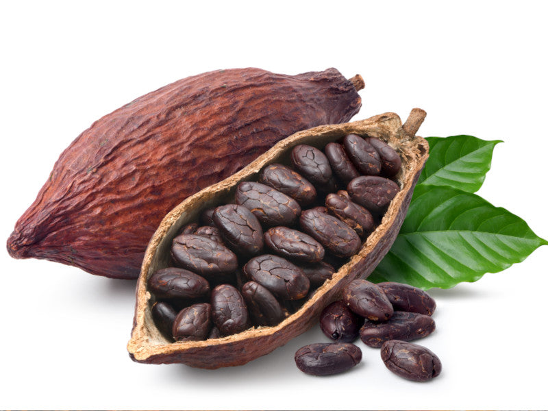 Cacao beans in a pod