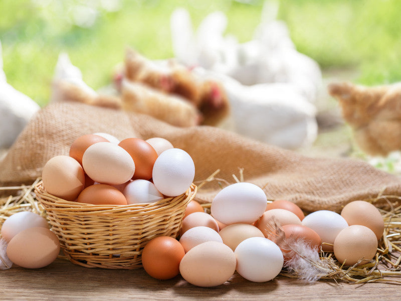 a mixture of brown and white eggs