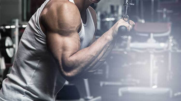 The Best Triceps Workouts that Train all Three Tricep Heads