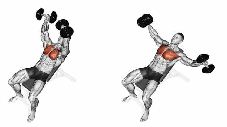 upper chest exercises