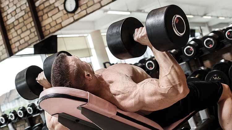 incline dumbbell bench press