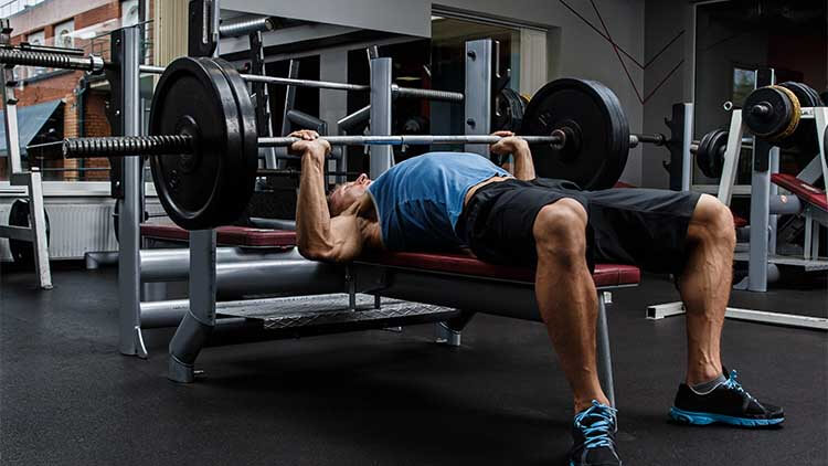 barbell bench press