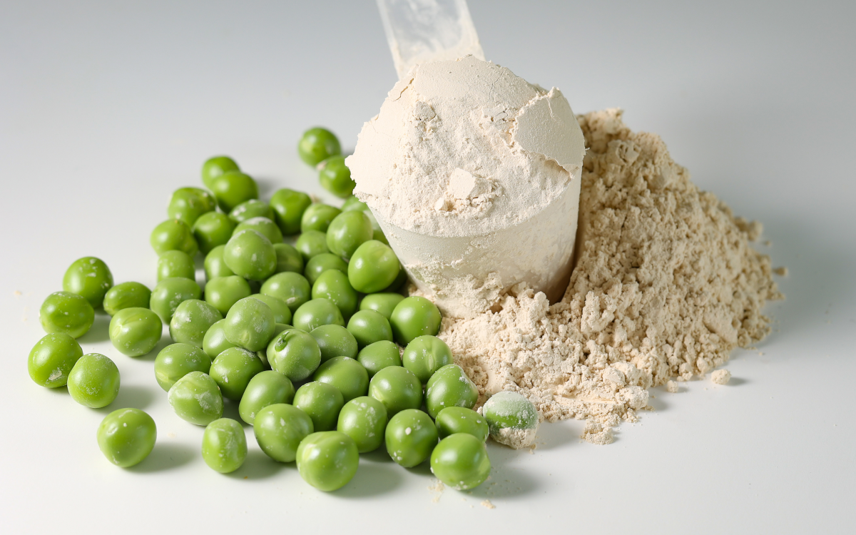 Pea protein powder