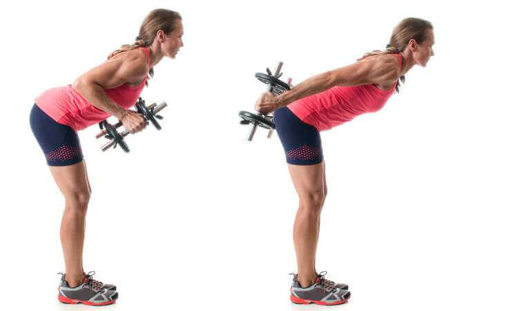 tricep dumbbell kickbacks