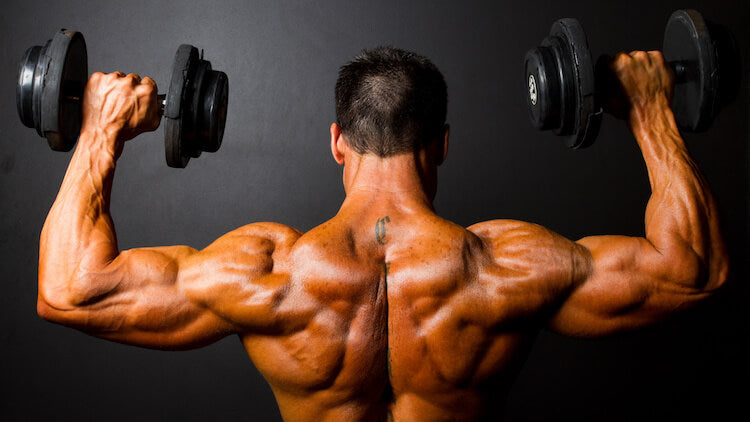 bodybuilder does dumbbell shoulder presses