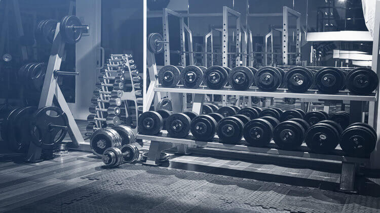 weights in the gym