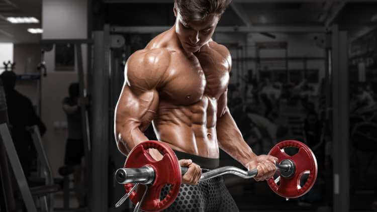 bodybuilder who takes steroids