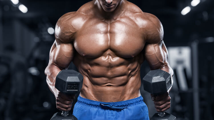 bodybuilder with huge chest