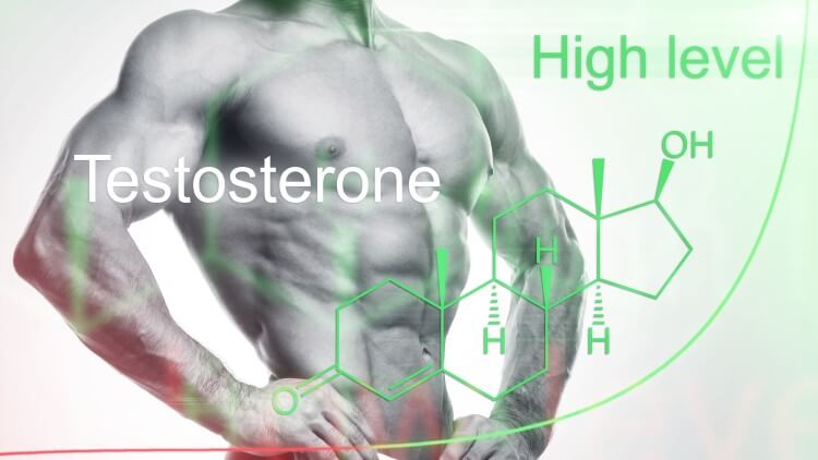 Muscular man with testosterone formula