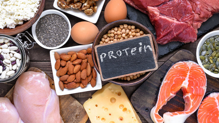 protein sources for muscle gain