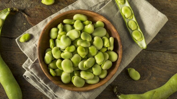 Raw organic fresh green beans