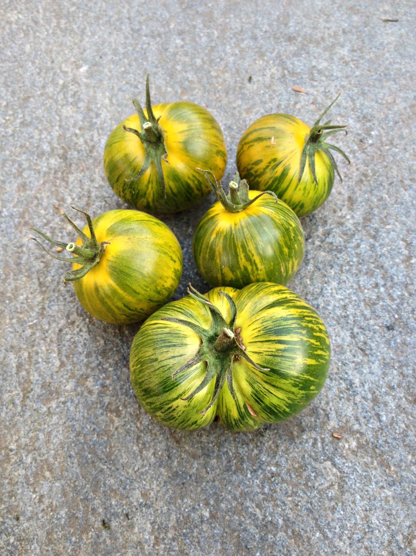 green zebra tomato