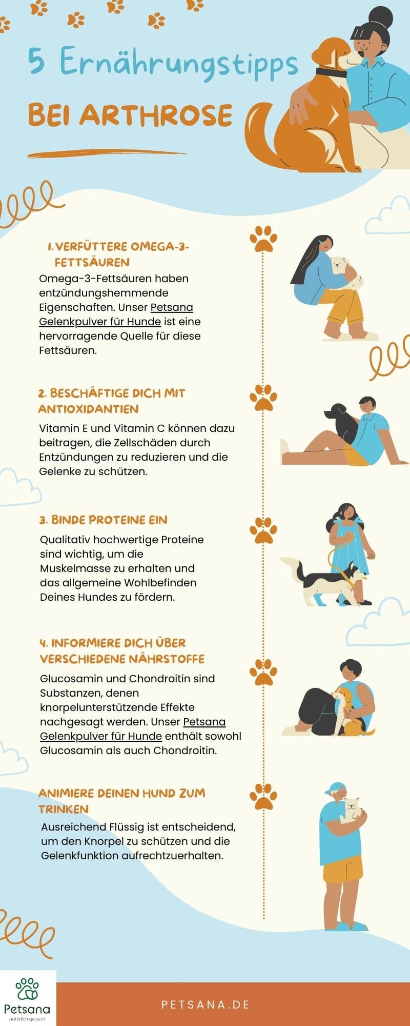 Hund Arthrose Ernährung Infografik