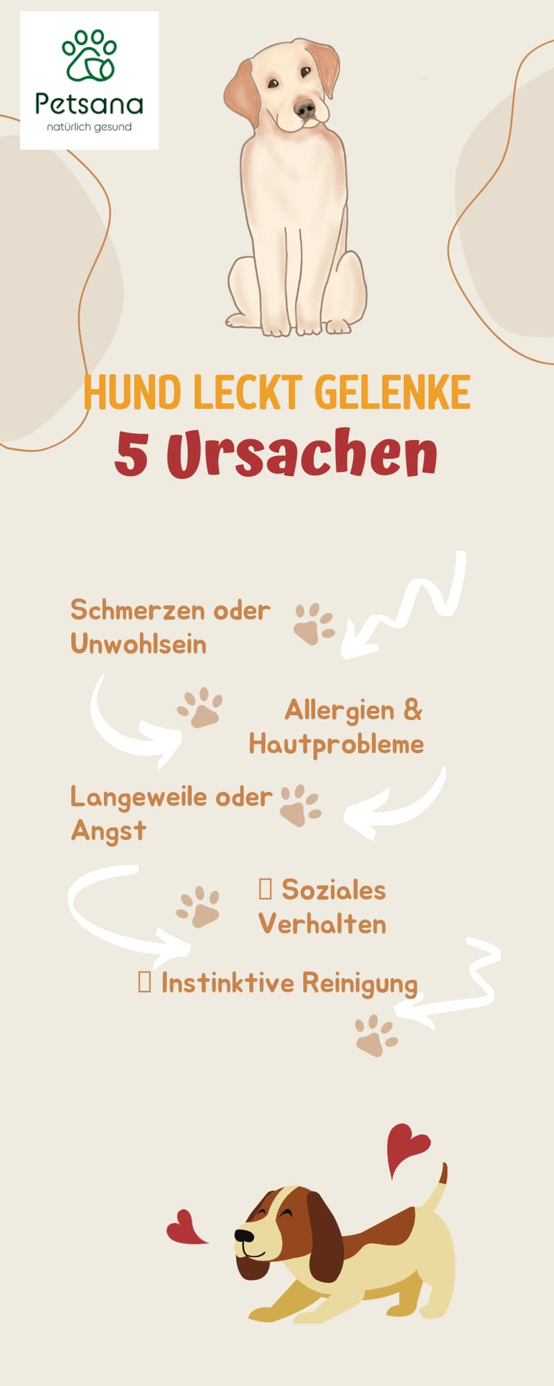 Hund leckt Gelenke Infografik