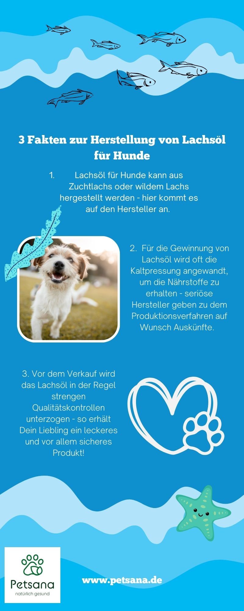 Lachsöl Hunde Herstellung Infografik