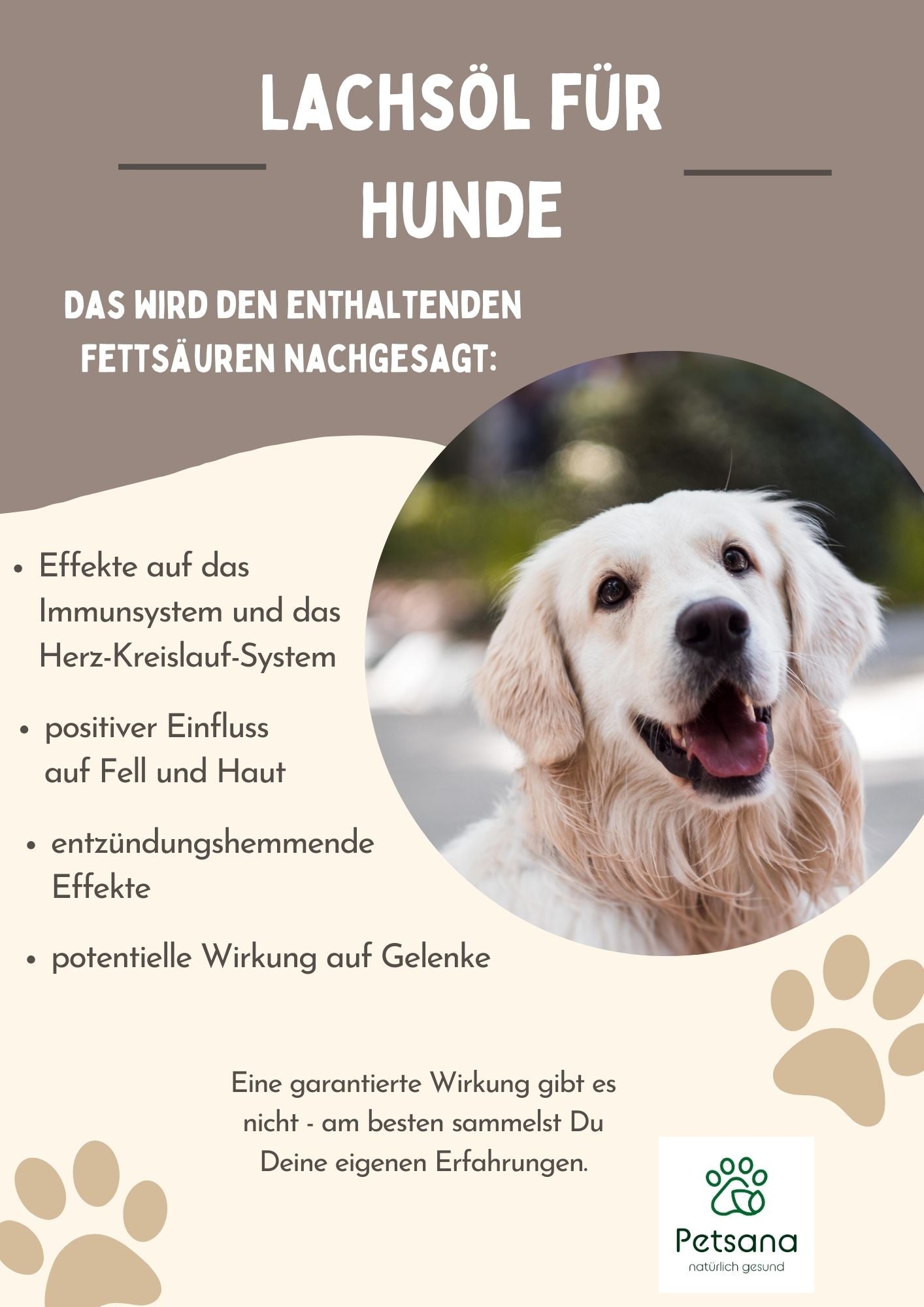 Lachsöl für Hunde Wirkung Infografik