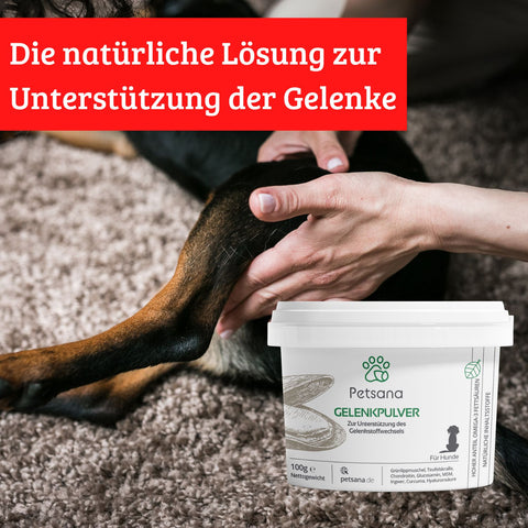 Gelenkpulver für Hunde Werbung