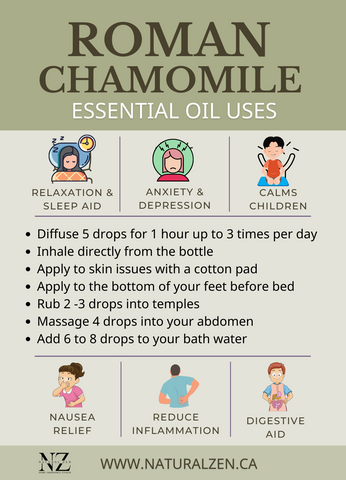 Uses of Roman Chamomile Essential Oil
