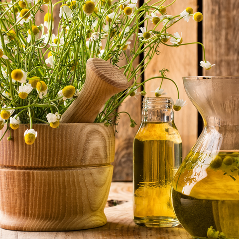 What are the uses and benefits of roman chamomile essential oil?