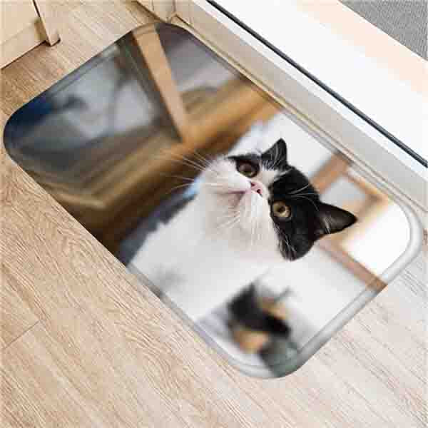 Tapis Chat Pour Derriere La Porte Tapis Animaux Fr