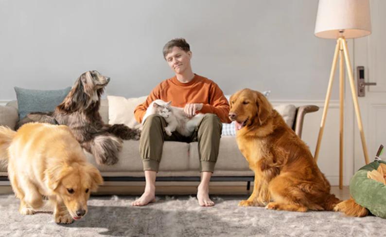 a man and dogs: deal with the problem of dog's hair on the floor