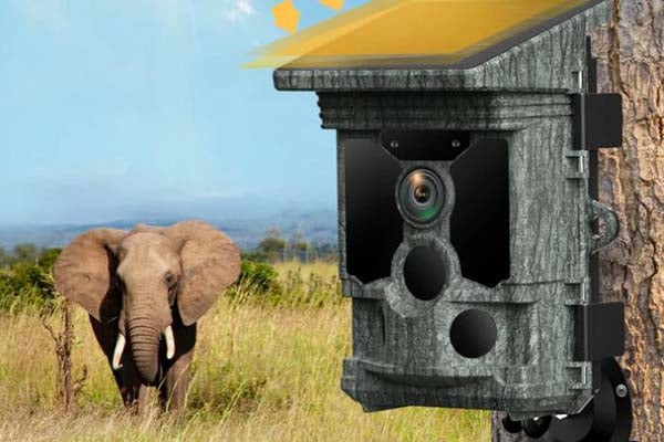 trail camera with solar panel -Campark T180