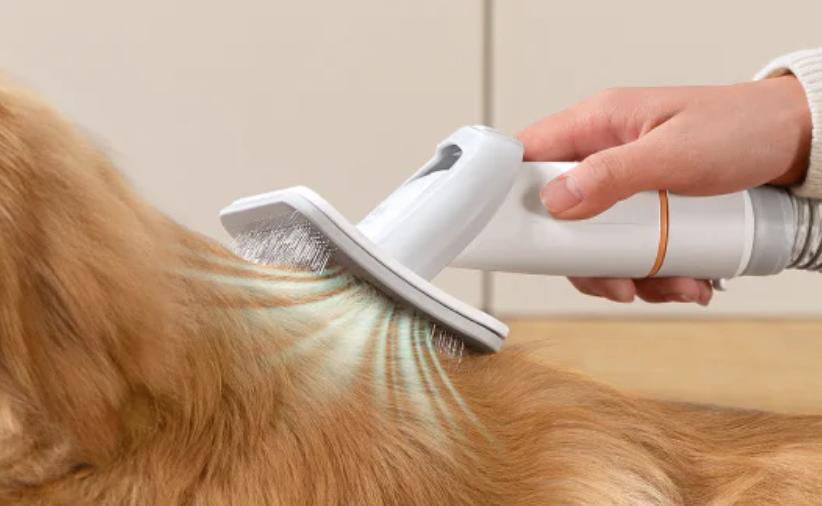 grooming dog hair with a vacuum