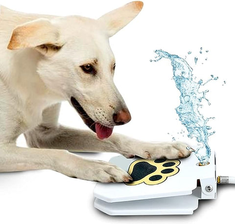 Dog H20 Large Dog Water Fountain 6 Liter - Automatic Filtered Pet Water  Fountain for Dogs Raised Bowl Water Dispenser for Large Pets, Water Level