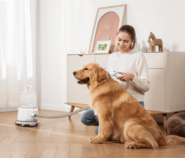 Pet Cameras for Security Monitoring
