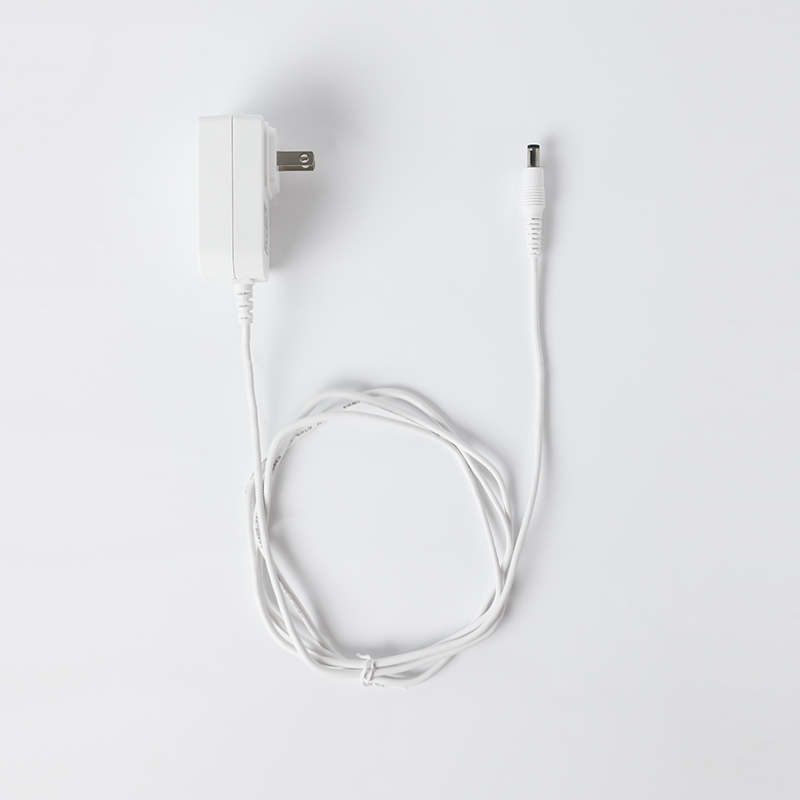 

Power Adapter and Ethernet Cable (US/CA/AU) Compatible with HomeBase 2 and HomeBase 3