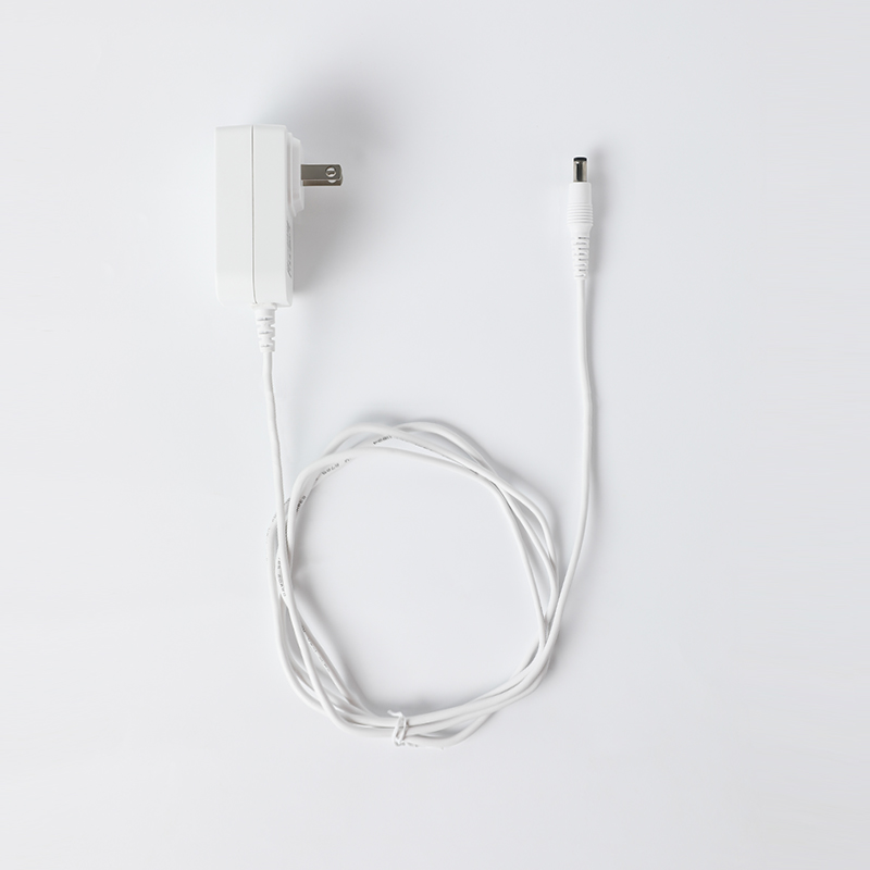 Power Adapter and Ethernet Cable (US/CA/AU) Compatible with HomeBase 2 and HomeBase 3
