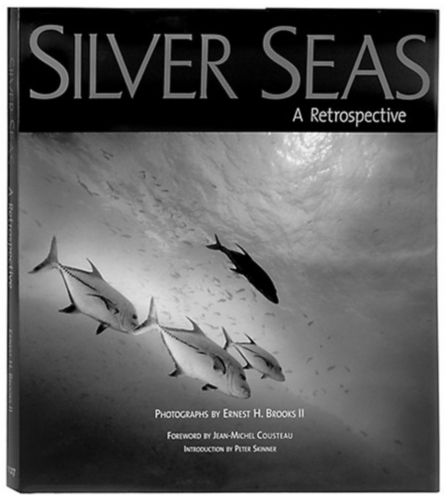 Silver Seas: A Retrospective