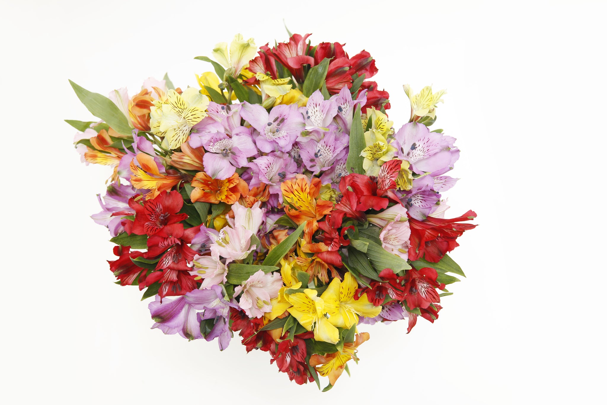 Rainbow’s Discovery Peruvian Lily Bouquet Top- Vase of Assorted Alstroemerias - Peruvian Lilies