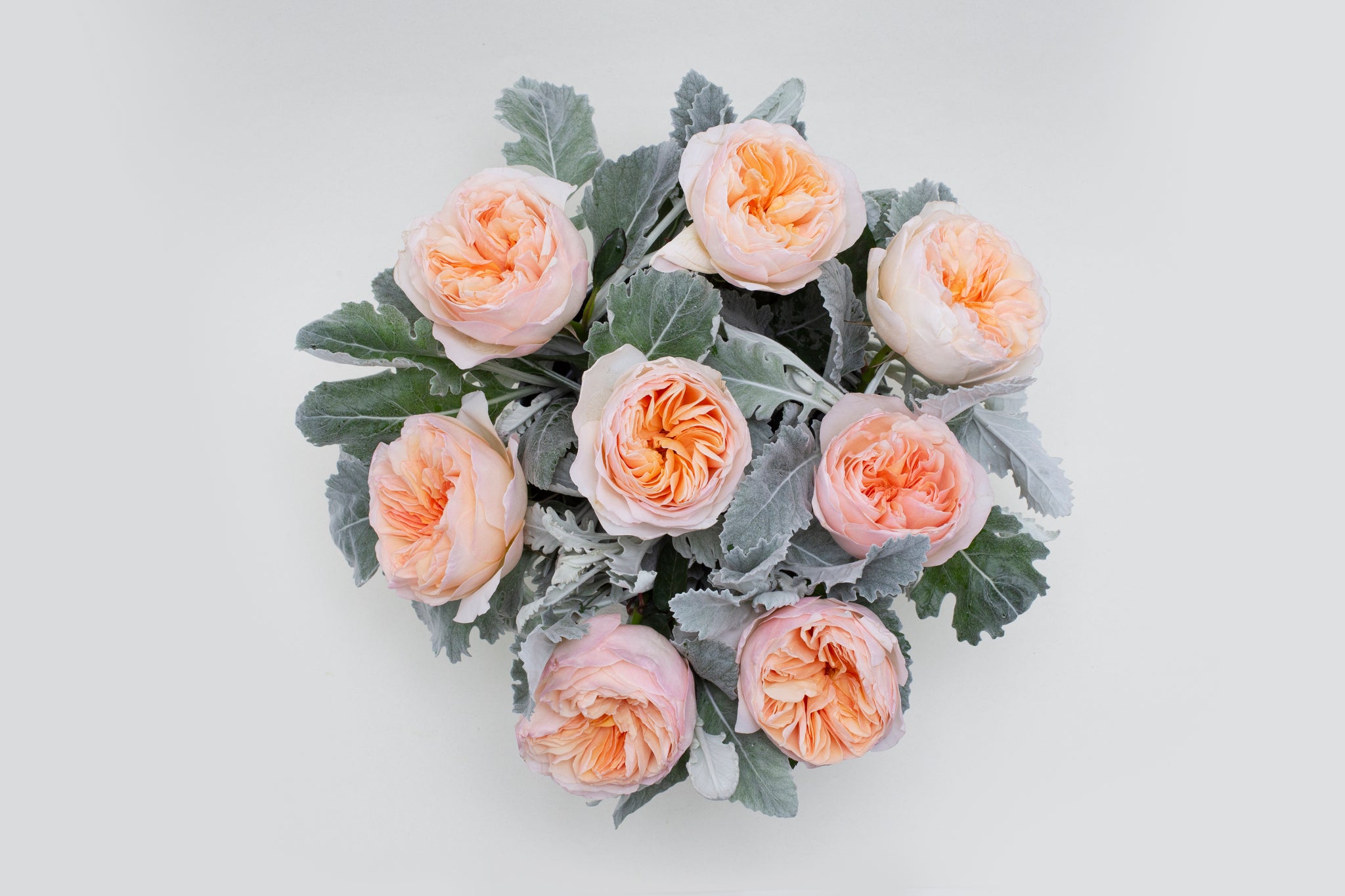 Woodland Beauty Luxury Rose Bouquet Top- vase of Juliet Garden Roses and dusty miller