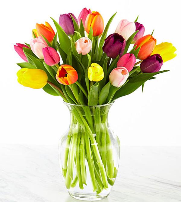 assorted tulips in vase