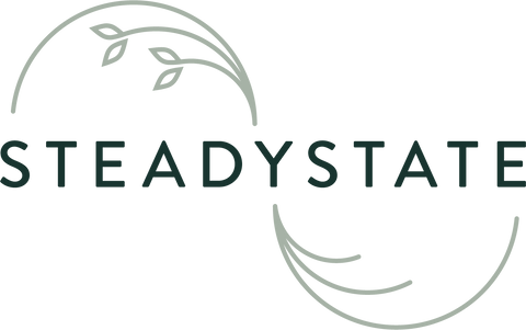 About Us – SteadyState