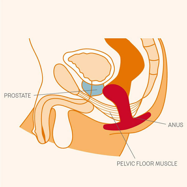 Bootie Anal Plug