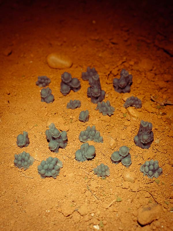 20x Resin Models - Alien Eggs – Epic Basing