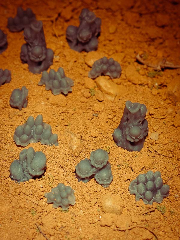 20x Resin Models - Alien Eggs – Epic Basing