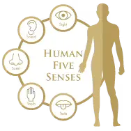 Getha 5 Sense Getha 5 Sense