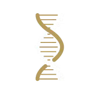 Getha Latex Able Twist Bend Stretch  Twist Bend