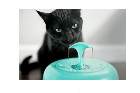 Purr Filtration Cat Water Fountain